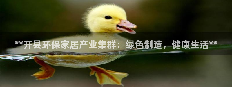 杏耀登陆网站