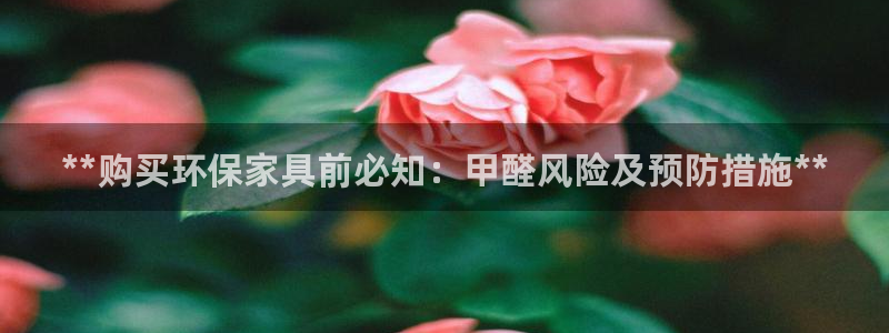 杏耀登陆电脑线路测速