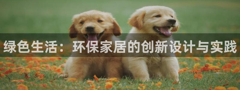 杏耀平台登陆官网