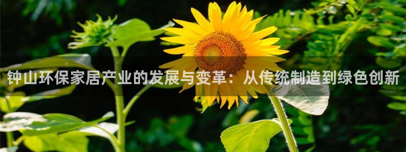 杏耀代理官网