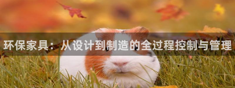 杏耀官网app
