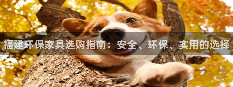 杏耀平台线路测试：福建环保家具选购指南：安全、环保、实用的选