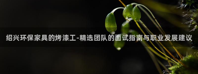 杏耀主管qq：绍兴环保家具的烤漆工-精选团队的面试指南与职业