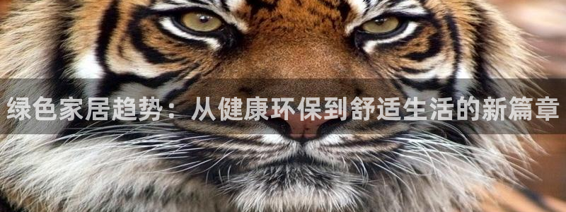 杏耀平台登录地址：绿色家居趋势：从健康环保到舒适生活的新篇章