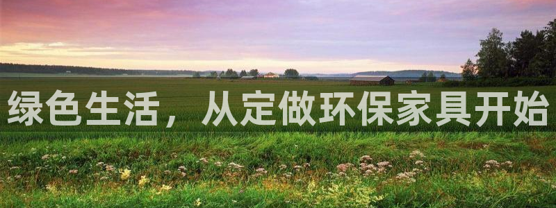 杏耀平台怎样：绿色生活，从定做环保家具开始