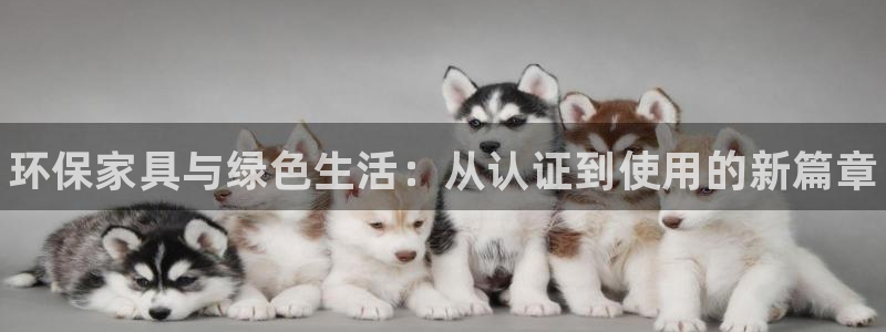 杏耀代理连接：环保家具与绿色生活：从认证到使用的新篇章