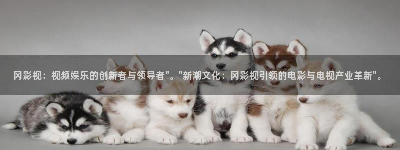 羞羞影院啵啵影院：冈影视：视频娱乐的创新者与领导者\