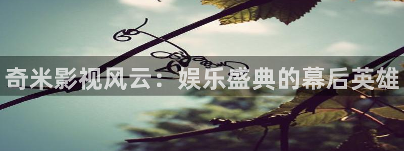 羞羞影院官网：奇米影视风云：娱乐盛典的幕后英雄