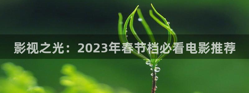www.午夜羞羞影院在线观看：影视之光：2023年春节档必看电影推荐