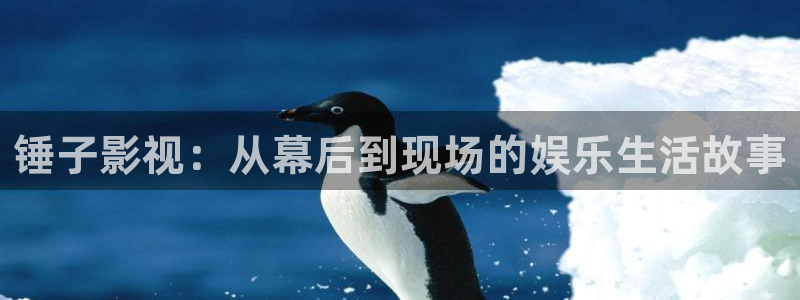 羞羞影院在线：锤子影视：从幕后到现场的娱乐生活故事