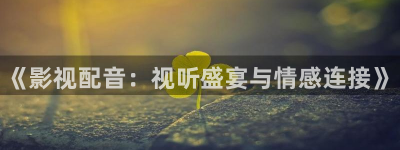 羞羞影院1：《影视配音：视听盛宴与情感连接》