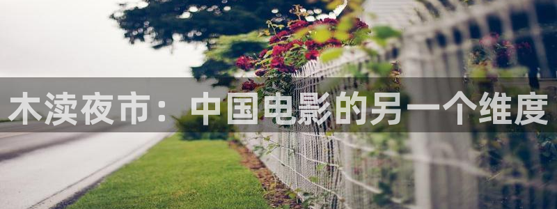 羞羞影院男女爽爽视频：木渎夜市：中国电影的另一个维度
