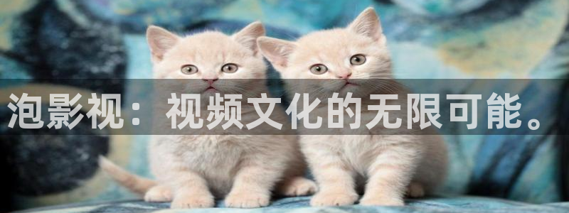 免费羞羞影院：泡影视：视频文化的无限可能。
