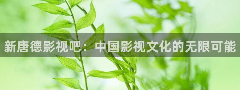 羞羞影院午夜男女：新唐德影视吧：中国影视文化的无限可能