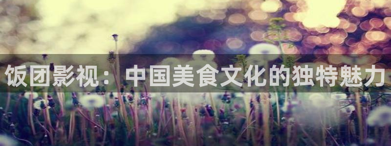 羞羞影视网：饭团影视：中国美食文化的独特魅力