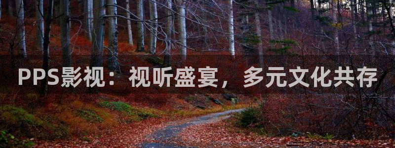 羞羞影院午夜男女爽爽影院：PPS影视：视听盛宴，多元文化共存