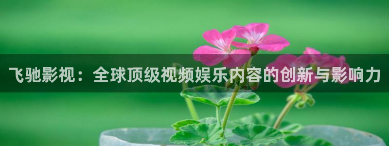 羞羞影视网：飞驰影视：全球顶级视频娱乐内容的创新与影响力