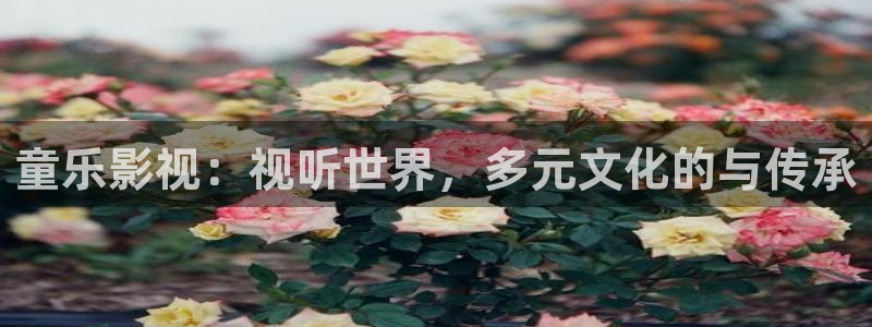 羞羞影院午夜：童乐影视：视听世界，多元文化的与传承