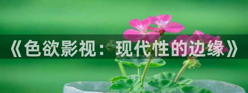美女羞羞影院大全：《色欲影视：现代性的边缘》