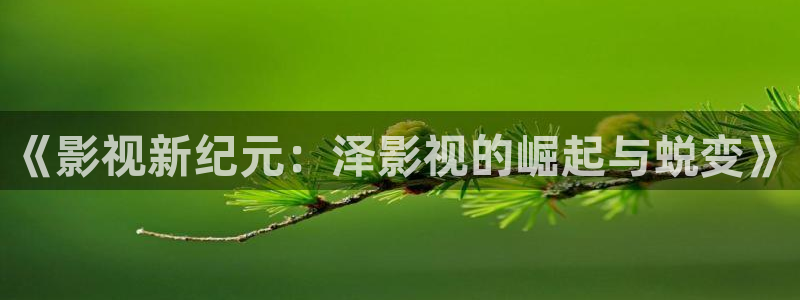 成人羞羞影院：《影视新纪元：泽影视的崛起与蜕变》