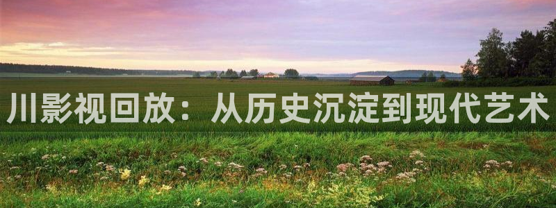 羞羞影视网：川影视回放：从历史沉淀到现代艺术
